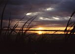 Sanday Tourism Association, photo by Colin Parkinson