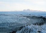 Sanday Tourism Association, photo by Colin Parkinson