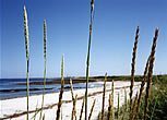 Beach view Sanday