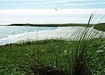 Glorious white sandy beaches of Sanday